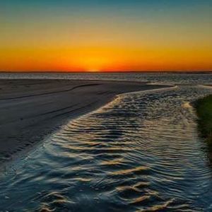 Meet your Posher, Solymar